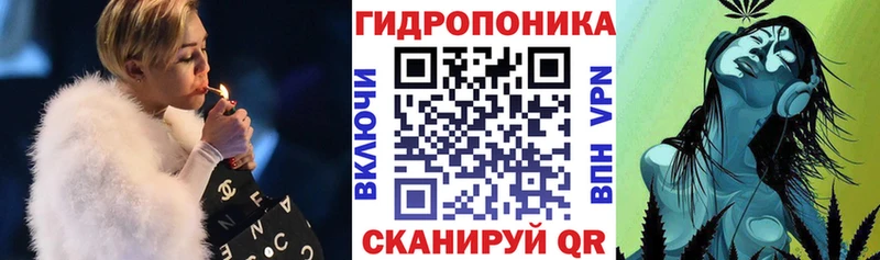 наркота  Ельня  Конопля индика 